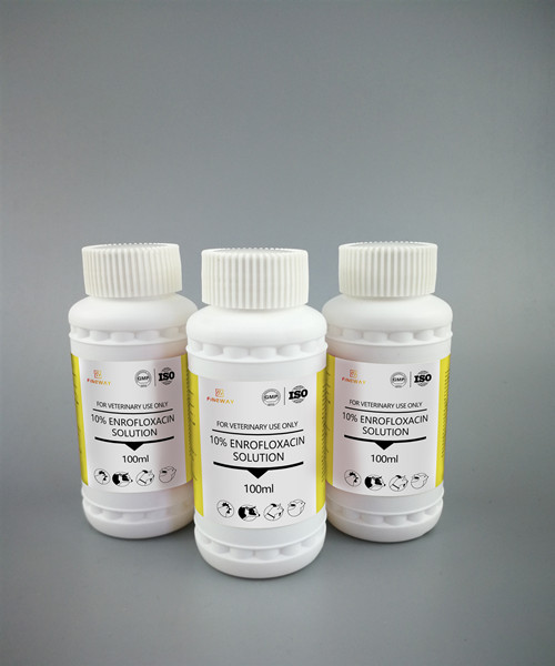 10% Enrofloxacin Solution 10% Enrofloxacin Solution