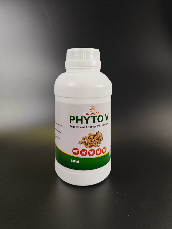PHYTO V PHYTO V